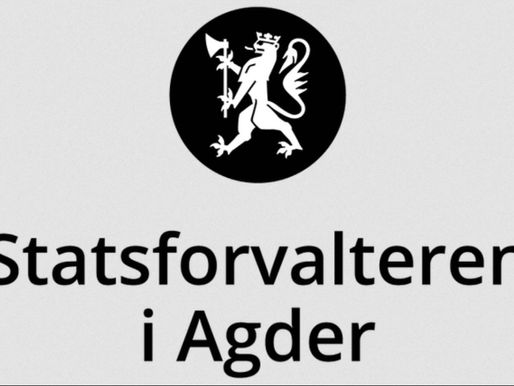 Når Statsforvalteren blir politiker