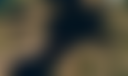 Vannkvaliteten i Topdalsfjorden