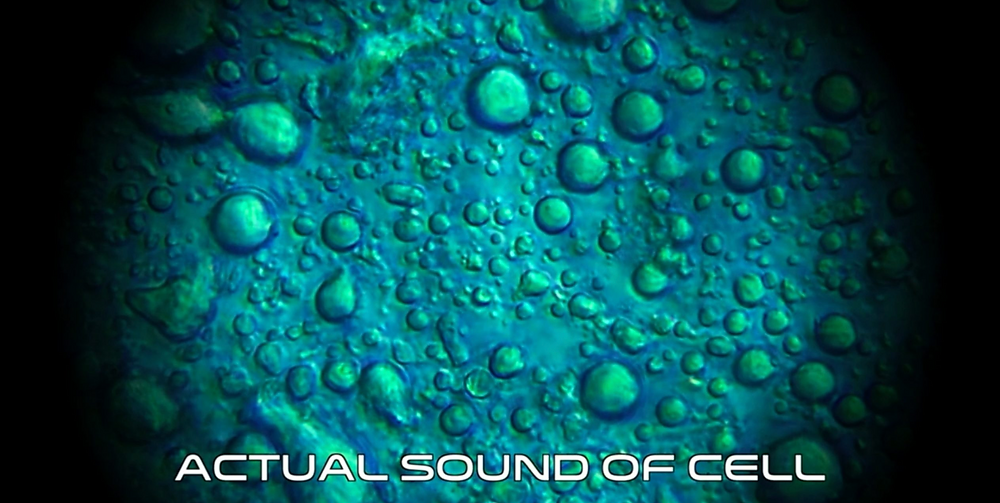 How Does Sound Therapy Work?