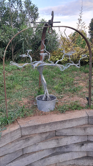 20250511_202556.jpg
