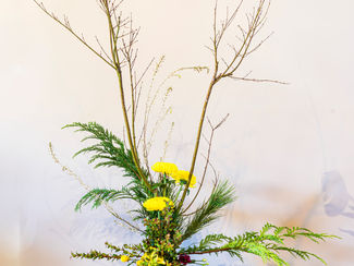 Sunday, April 16, 2023 - Ikenobo Ikebana Workshop