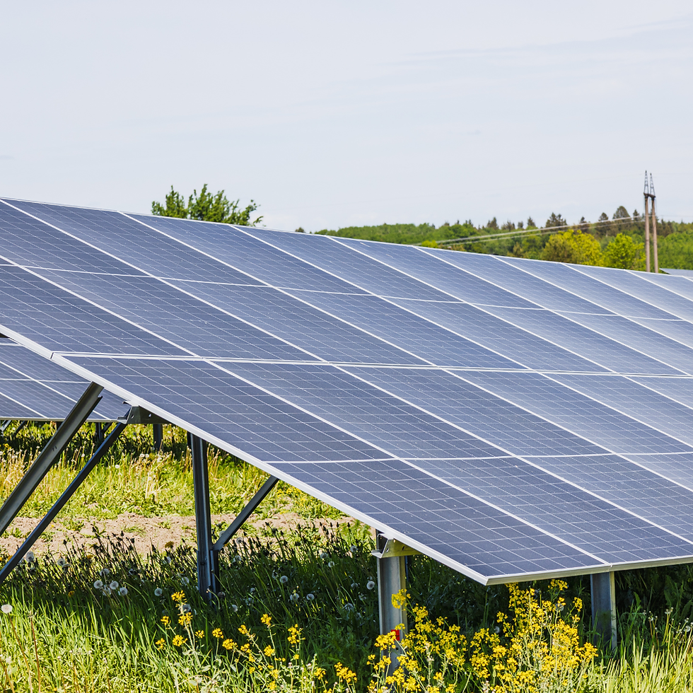 Indústria brasileira foi protagonista na COP30