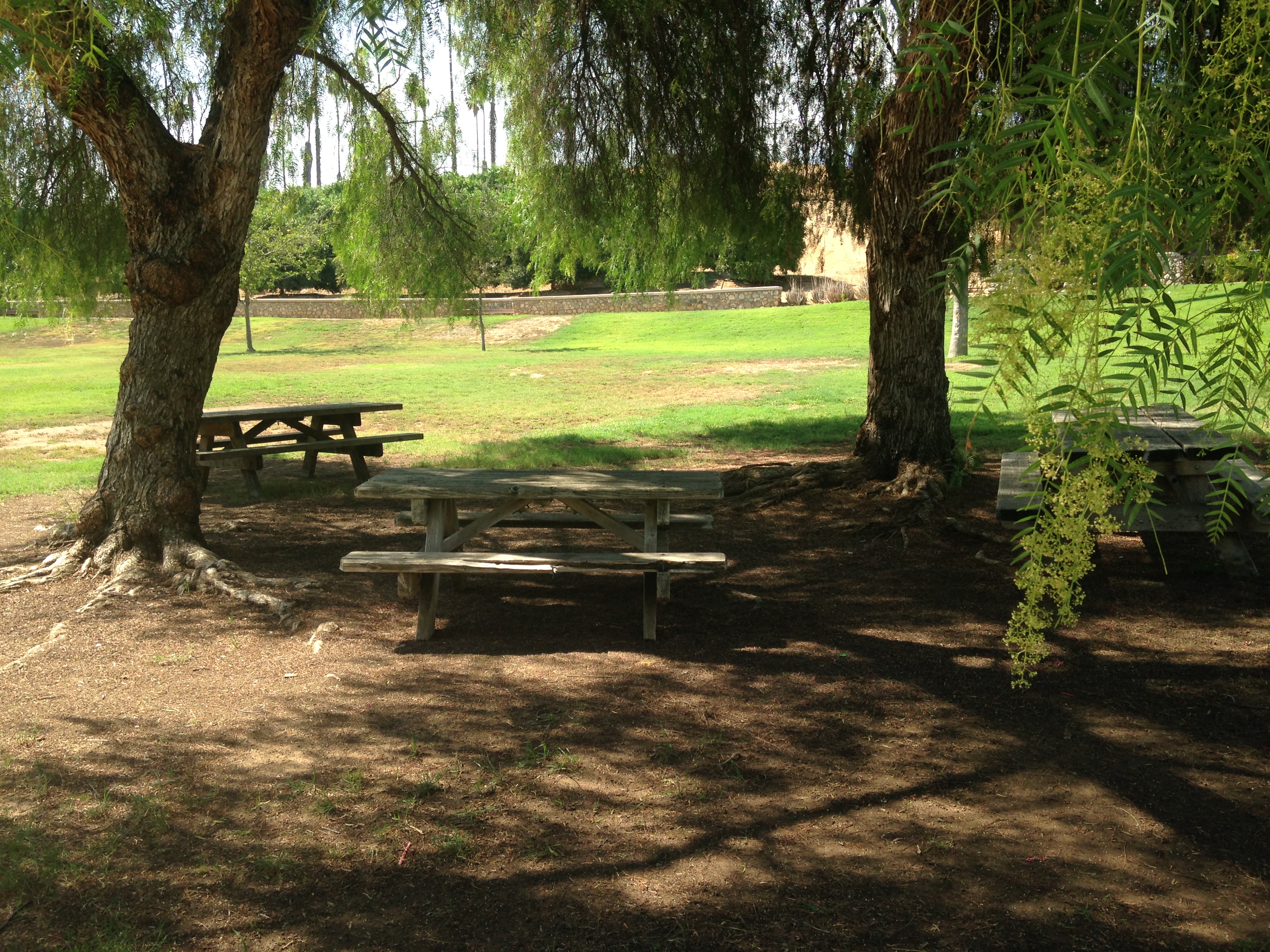 Citrus Park Wedding and Events Riverside, CA Group Picnic Rentals