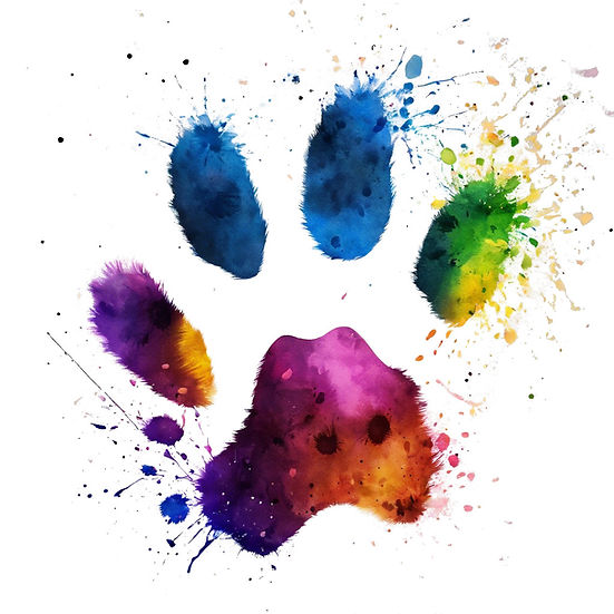 water color paw print splatter full spectrum dog training