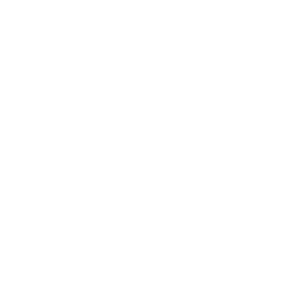 Blueboys garage logo