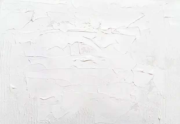 White Background.png