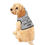Thumbnail: Funny Pet Hoodie - "I Still Live With My Parents" - Cozy Dog Apparel (GREY)