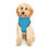 Thumbnail: Funny Pet Hoodie - "I Like Big Bones and I Cannot Lie" - Cozy Dog Apparel (BLUE)