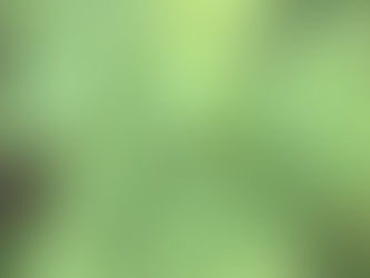 A medicinal plant as a weed in disguise.