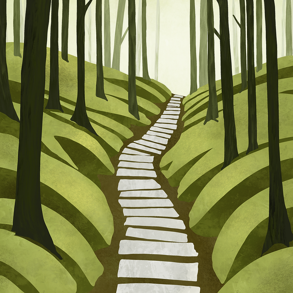 brickbard-path-9261477_1920.png