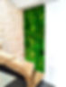1699014851299 copie.jpg