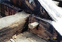 Picture5.jpg