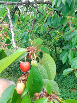 1b285cda-9f2f-4d0b-9bd8-cd3a62cf26a5