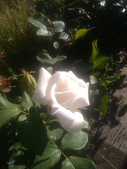 PHOTO-2020-05-21-16-11-47