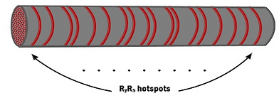 Screenshot 2025-10-07 143855.png