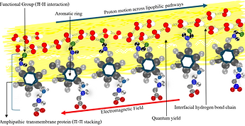 Screenshot 2025-05-29 092118.png