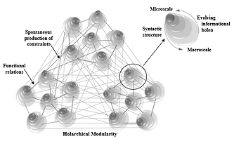 holon modularity.png