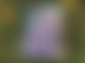 花椿 HANATSUBAKI no.819SUMMER ISSUE 2018