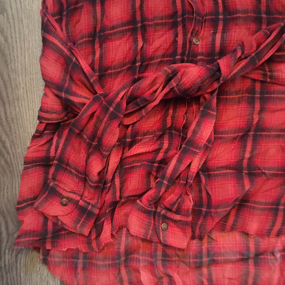 Thumbnail: free people red plaid 90's grunge tie front shirt dress S