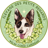 Élevage des Petits Renards + name.png