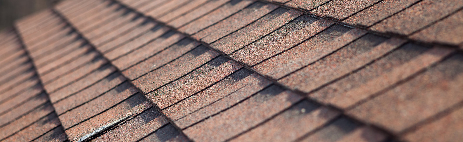 Roof Shingles