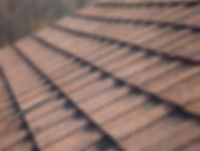 Roof Shingles