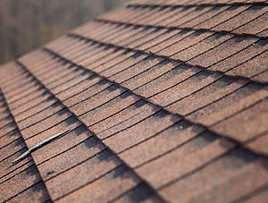 Roof Shingles
