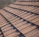 Roof Shingles