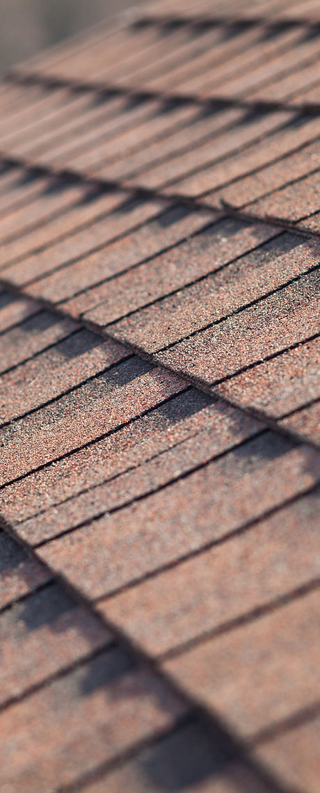 Roof Shingles