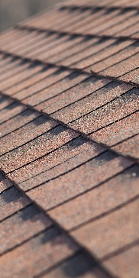 Roof Shingles