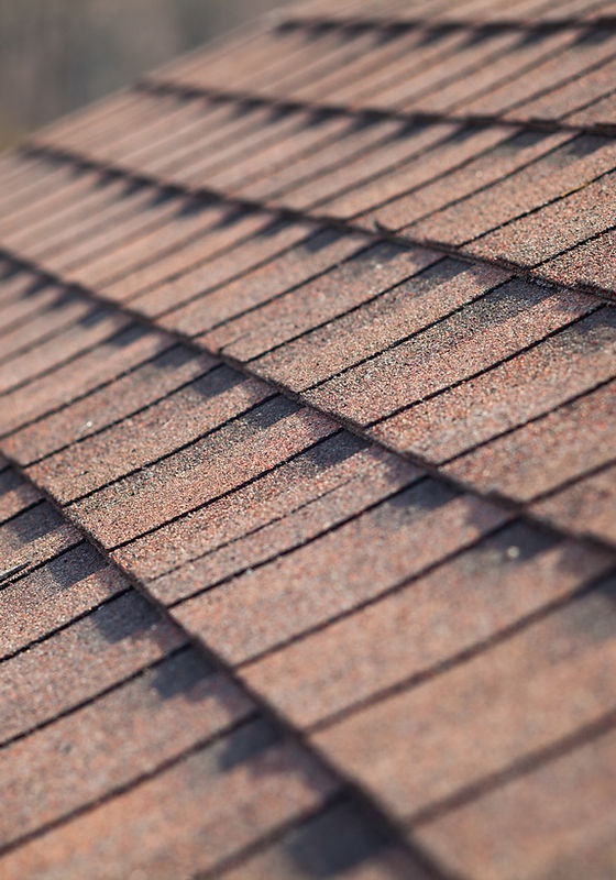 Roof Shingles