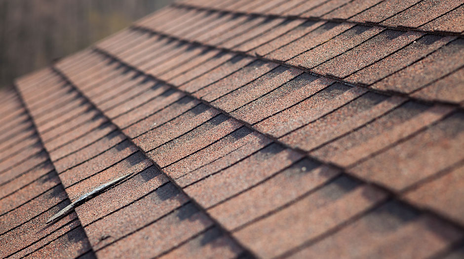 Roof Shingles