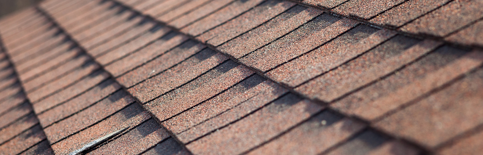 Roof Shingles  