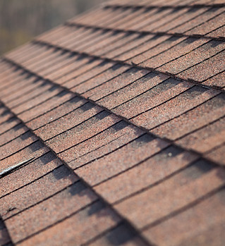 Roof Shingles