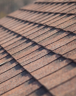 Roof Shingles  