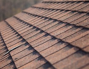 Roof Shingles Closeup