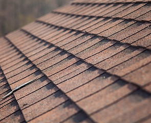 Roof Shingles
