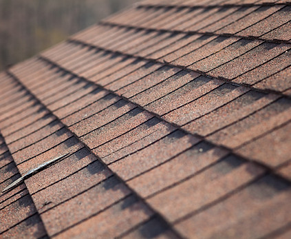 Roof Shingles  