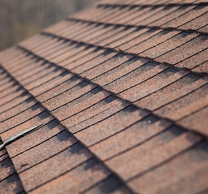 Roof Shingles