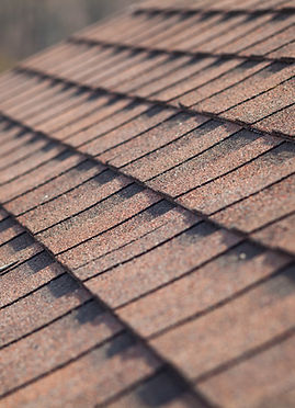 Roof Shingles