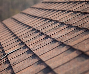 Roof Shingles