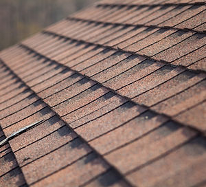 Roof Shingles Closeup