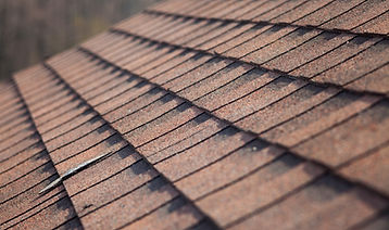 Roof Shingles