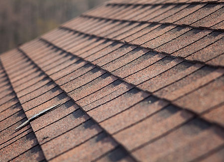 Roof Shingles
