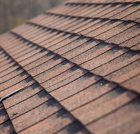 Roof Shingles