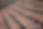 Roof Shingles