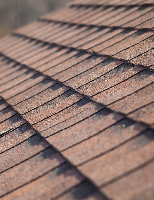 Roof Shingles