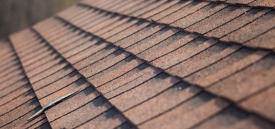 Roof Shingles