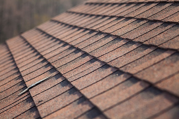 Roof Shingles Closeup