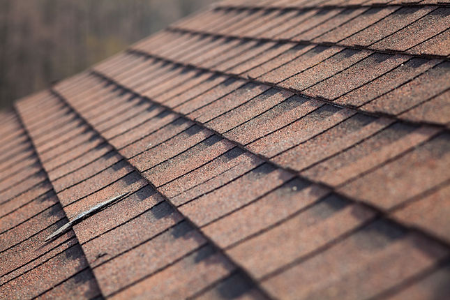 Roof Shingles